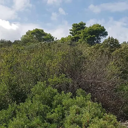 Island Oasis - With Large Bedroom & Terrace With Amazing Sea View Appartamento