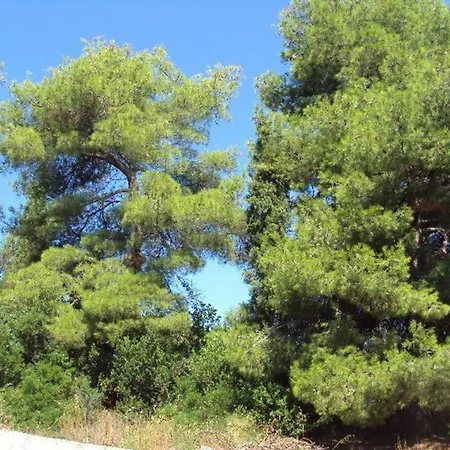 Appartamento Island Oasis - With Large Bedroom & Terrace With Amazing Sea View Zaglav