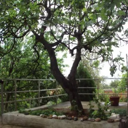 Island Oasis - With Large Bedroom & Terrace With Amazing Sea View *