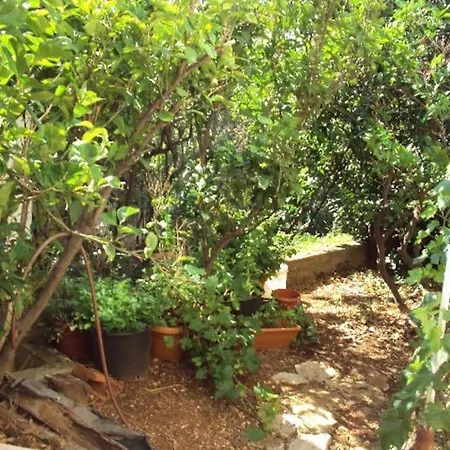 Appartamento Island Oasis - With Large Bedroom & Terrace With Amazing Sea View Zaglav